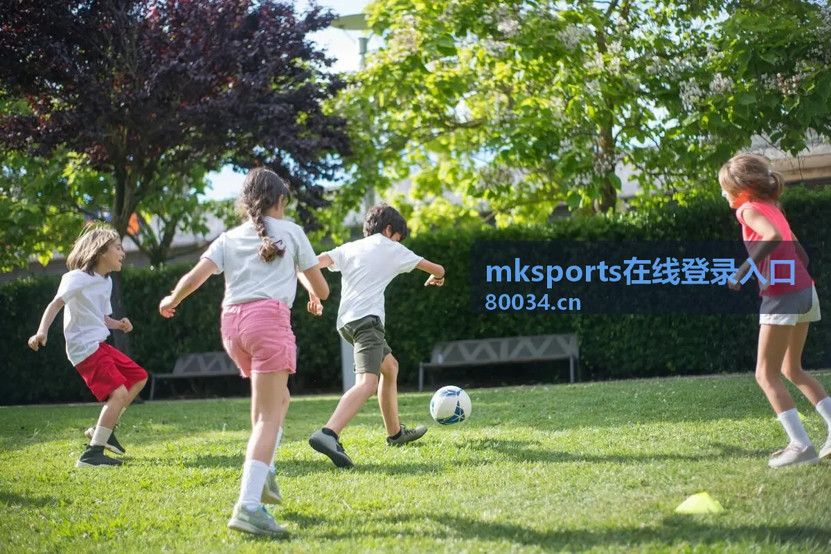 mksports在线登录入口登录前的网络与环境检查示意
